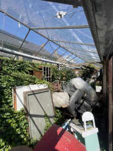 Project Naaldwijk (3) - MarWit